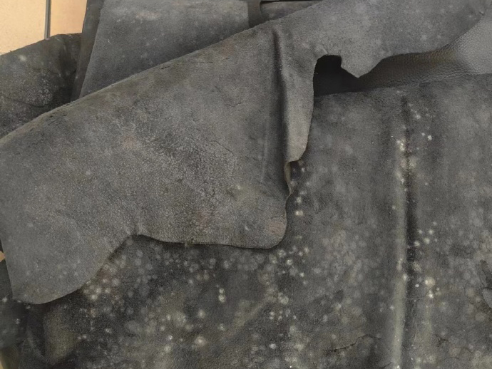 牛皮發(fā)霉了