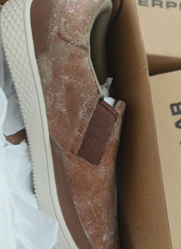 發(fā)霉的鞋子